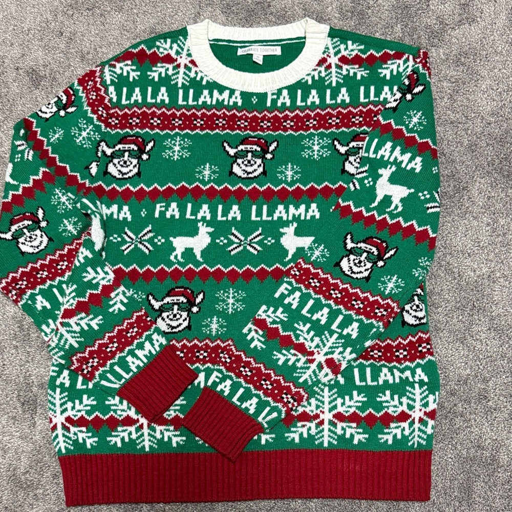 Holiday Llama Sweater in Green and Red with matching beanie